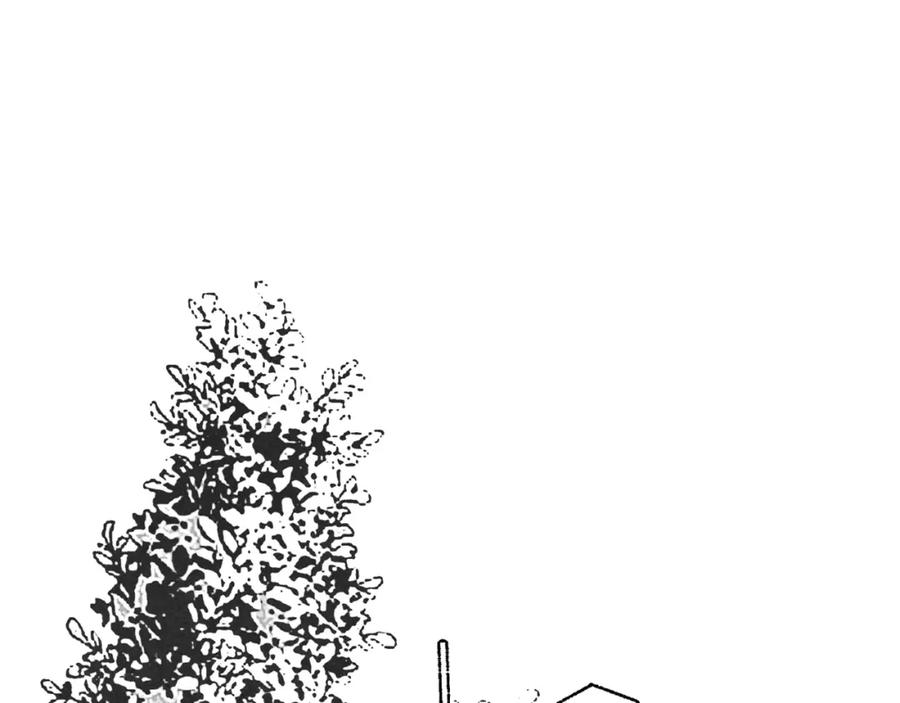 95.jpg