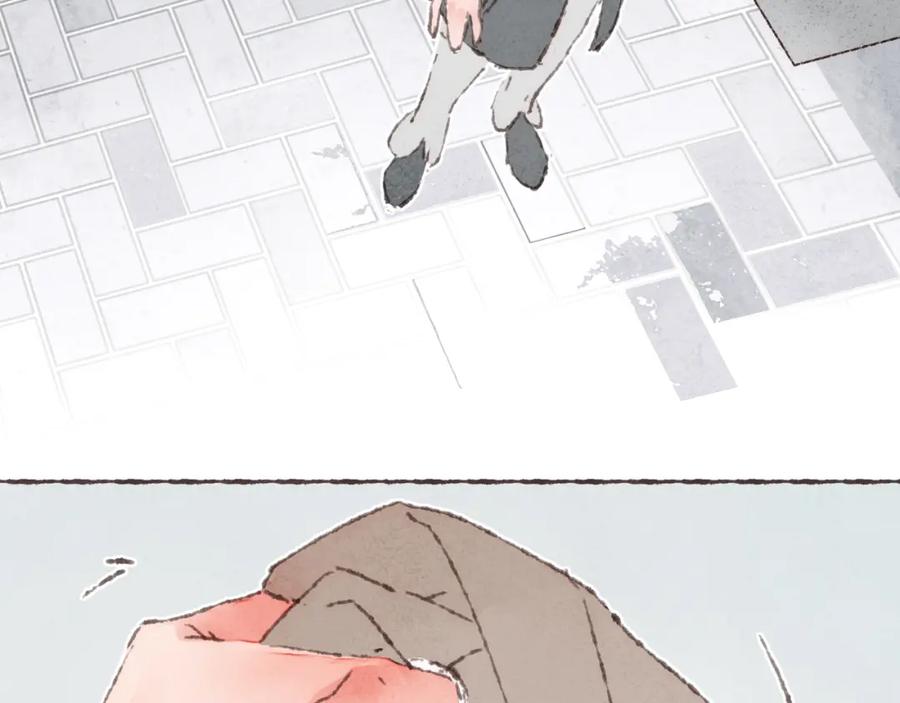 55.jpg