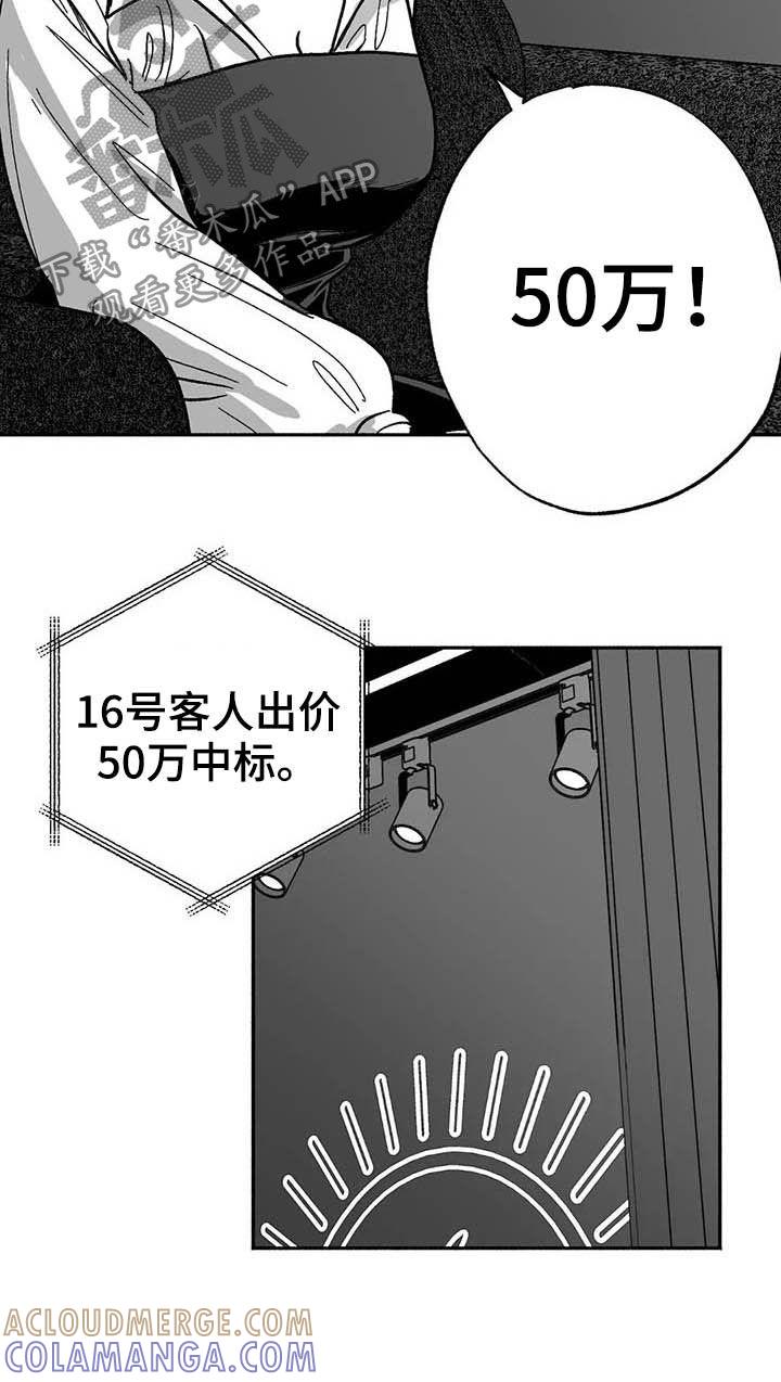 第28章：竞拍-绯色长夜-Fenli（第10张）