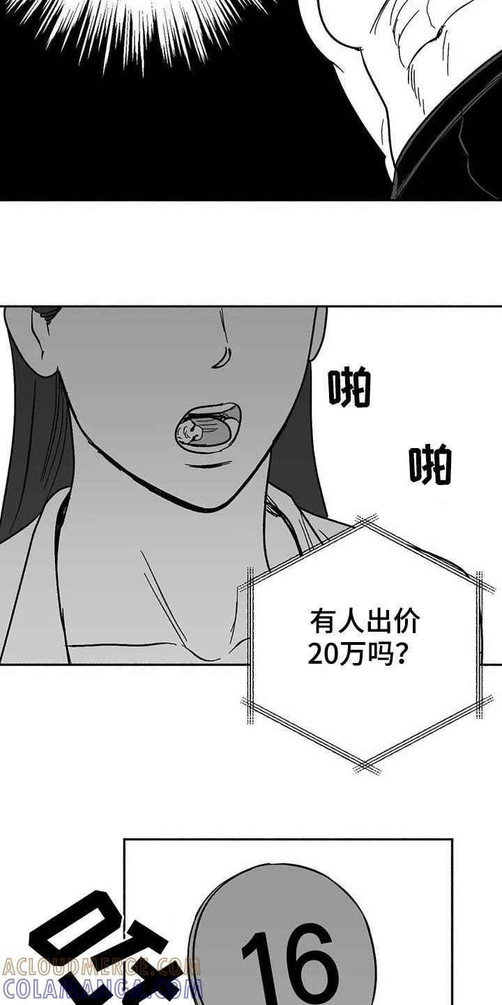第28章：竞拍-绯色长夜-Fenli（第8张）