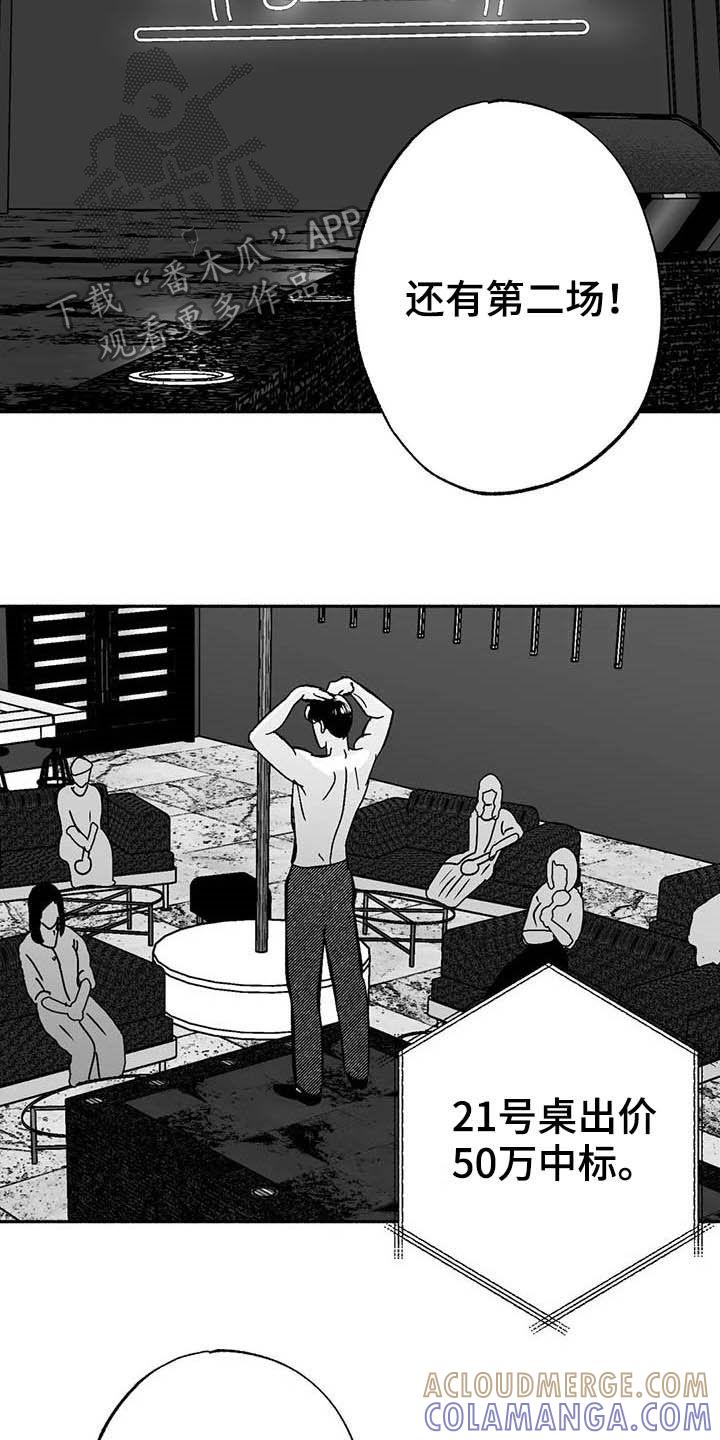 第28章：竞拍-绯色长夜-Fenli（第2张）
