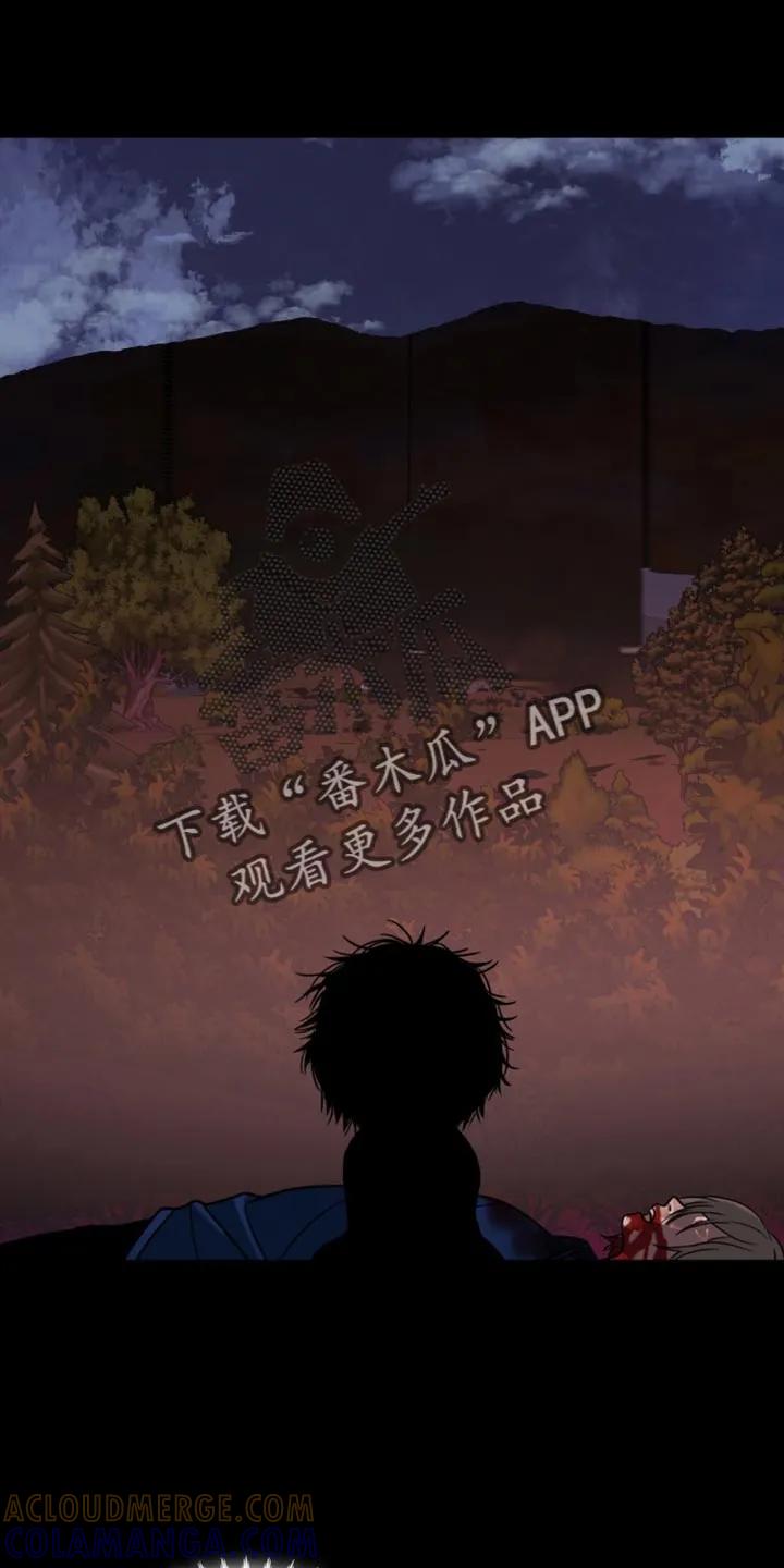 第73章：下山回家-腐蚀的痛处-reimx（第7张）