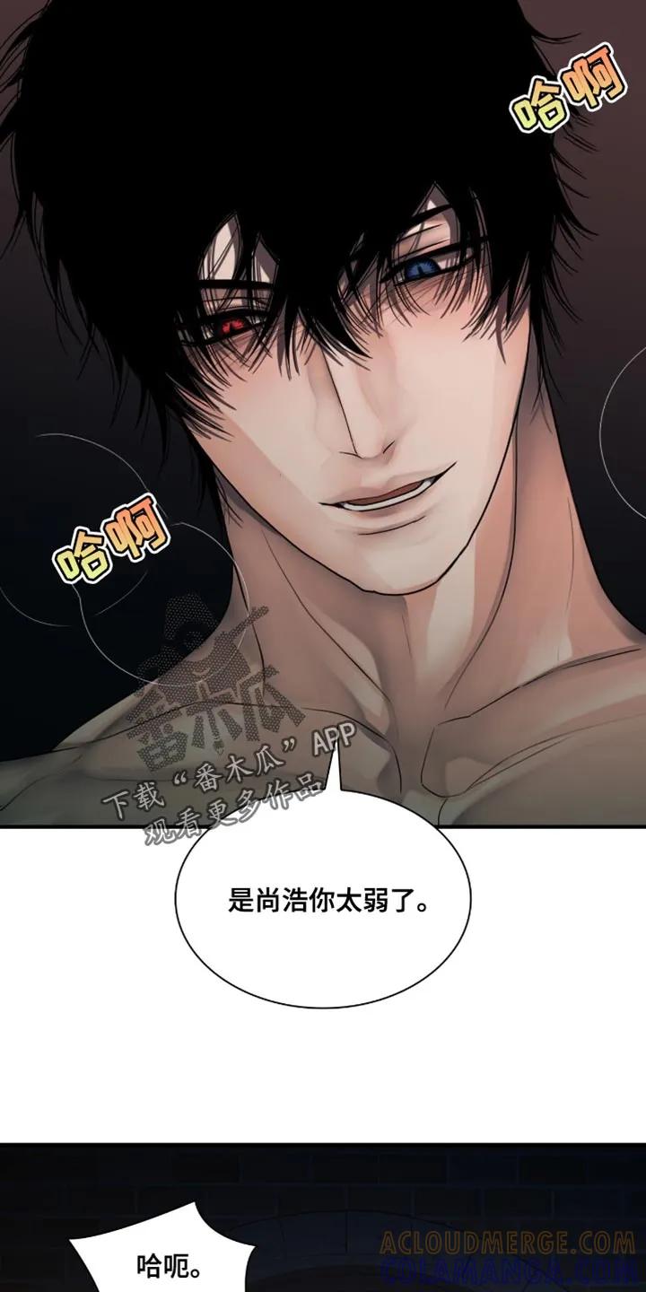 第75章：是你太弱了-腐蚀的痛处-reimx（第4张）