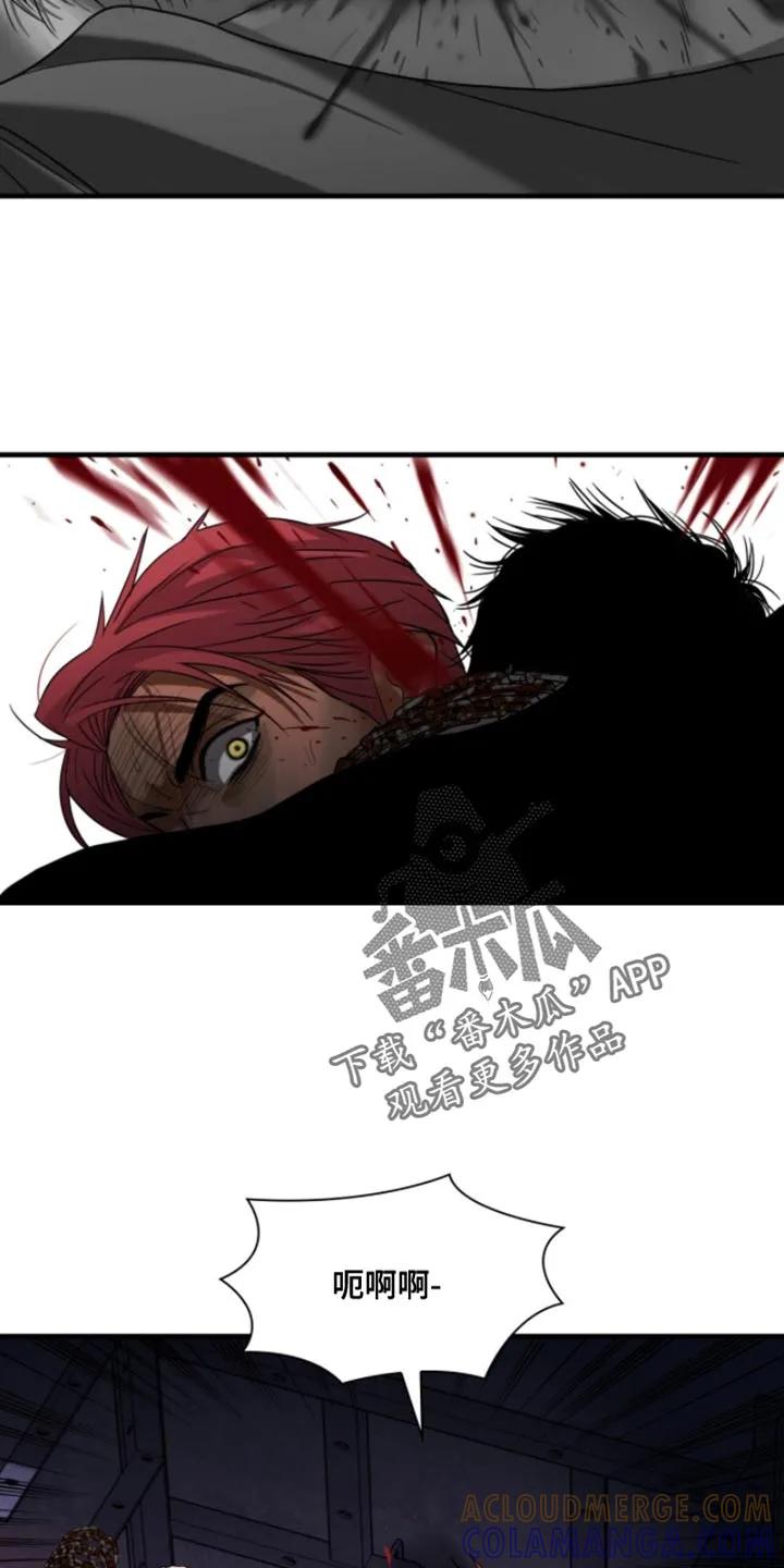 第84章：【第二季】是因为他-腐蚀的痛处-reimx（第9张）