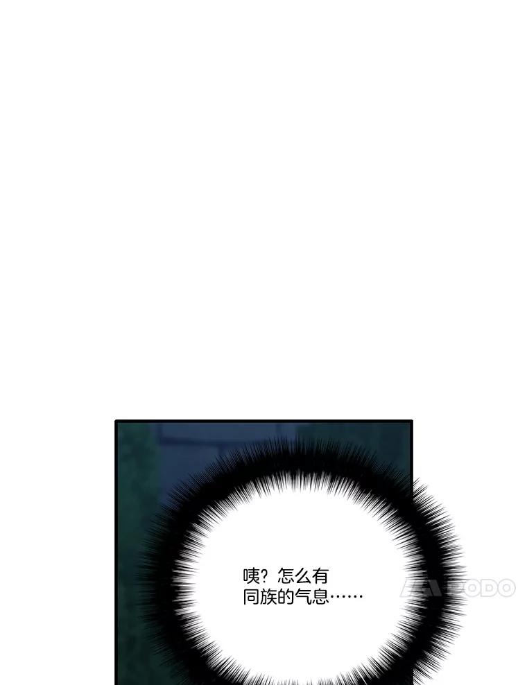 78.jpg