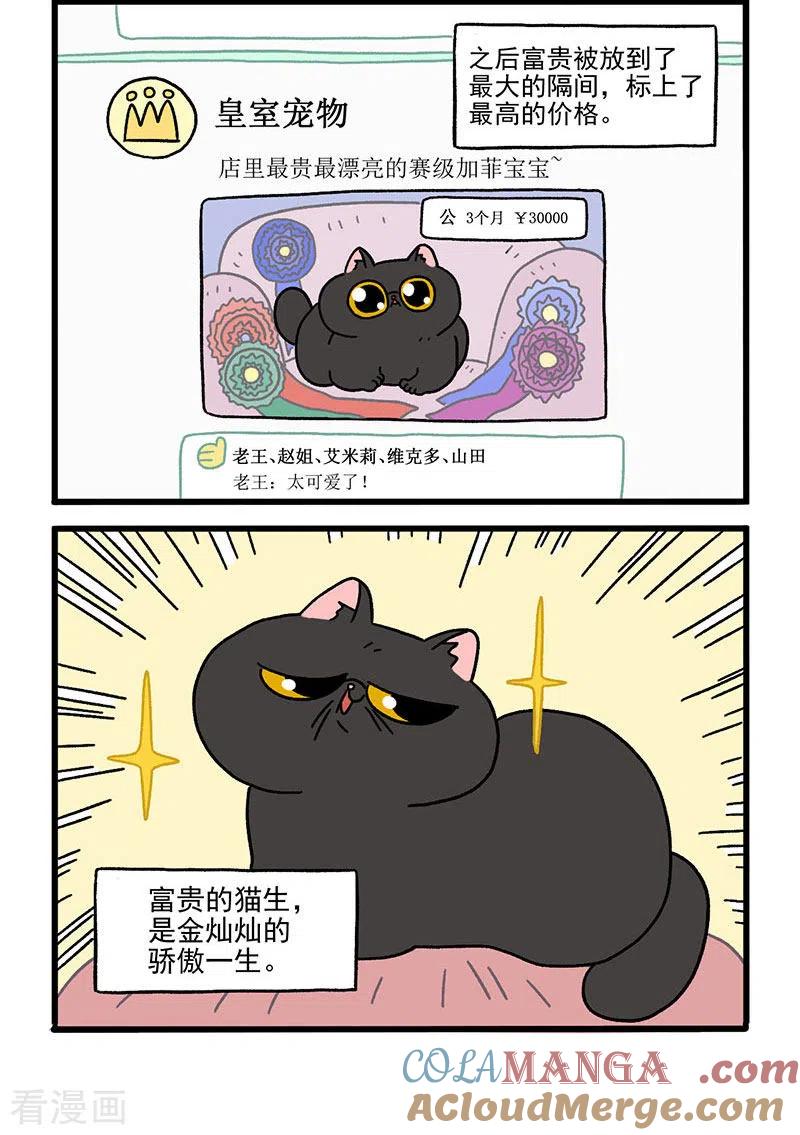 第15话王富贵-阿满和麦茶-新漫画 日胖大海寺（第2张）