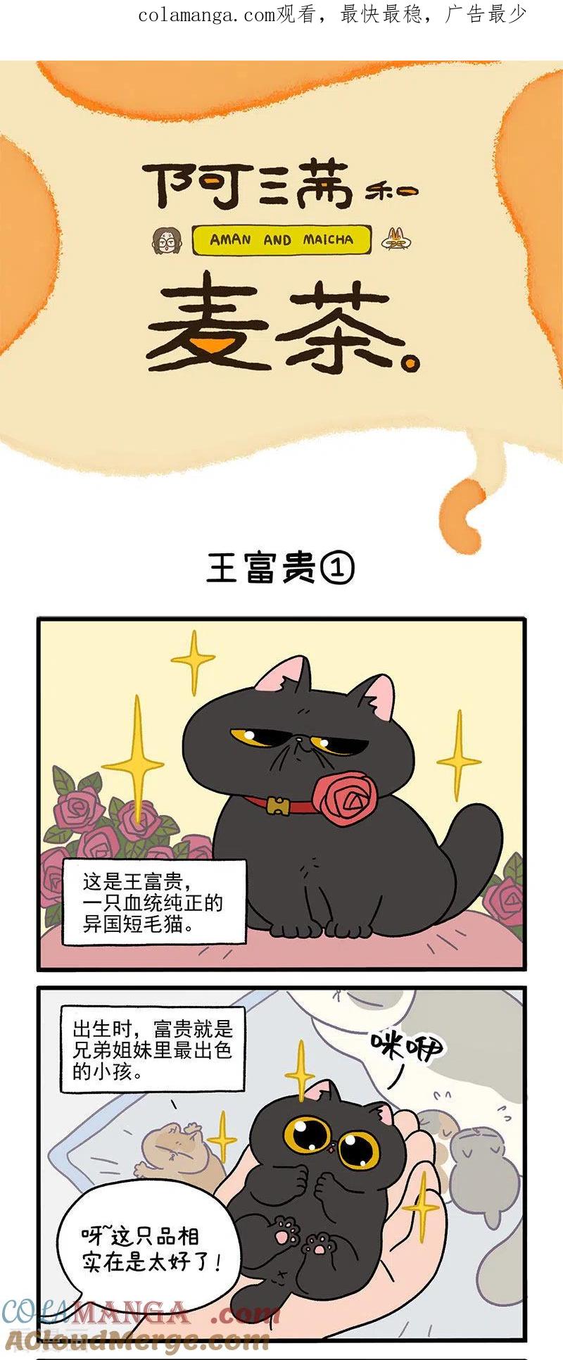 第15话王富贵-阿满和麦茶-新漫画 日胖大海寺（第1张）