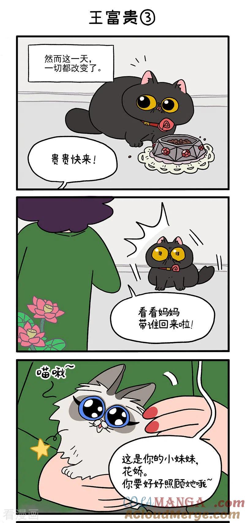 第15话王富贵-阿满和麦茶-新漫画 日胖大海寺（第5张）