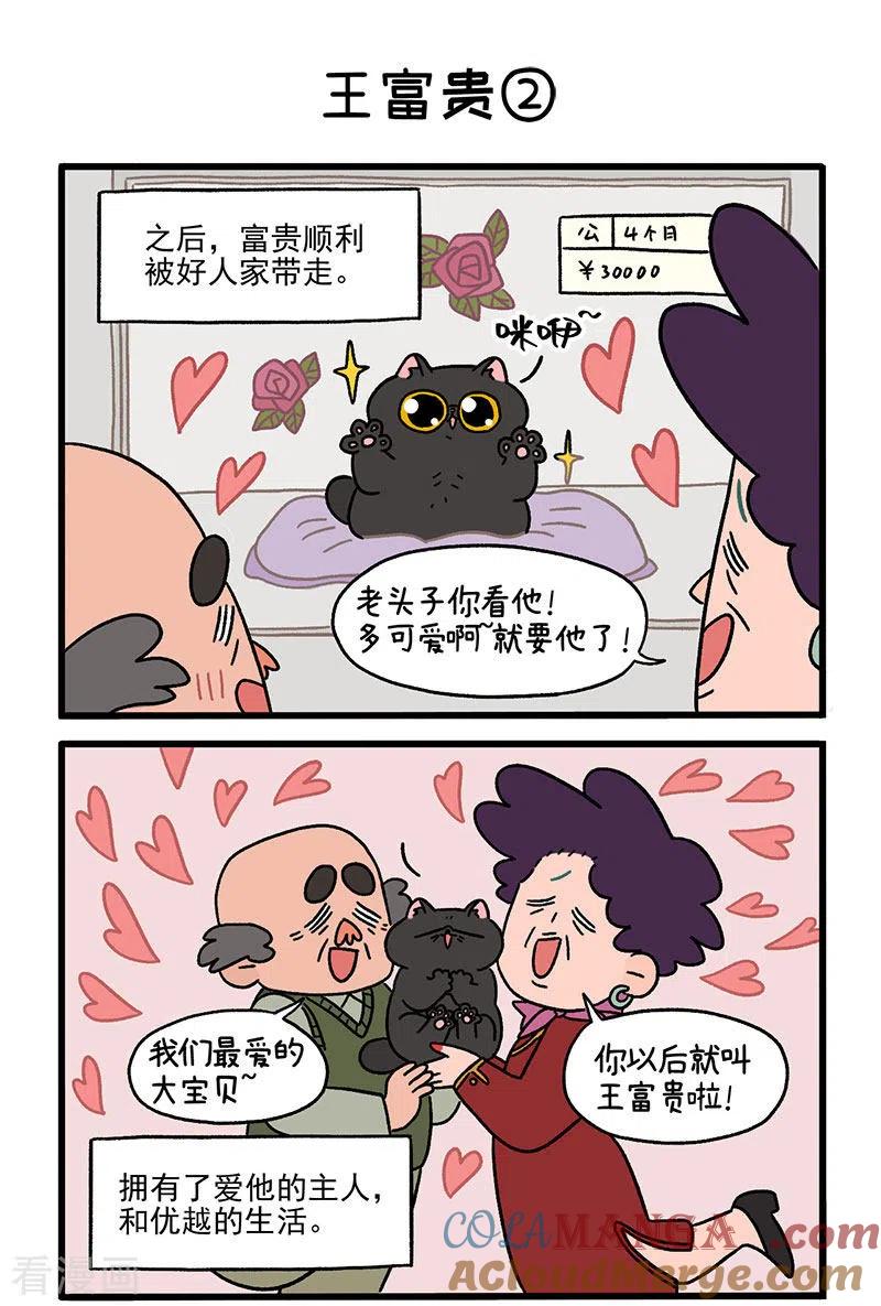 第15话王富贵-阿满和麦茶-新漫画 日胖大海寺（第3张）