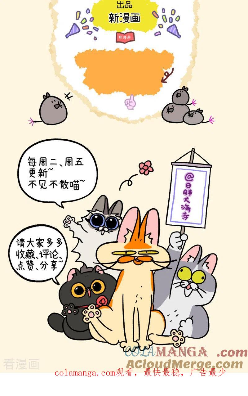 第15话王富贵-阿满和麦茶-新漫画 日胖大海寺（第8张）
