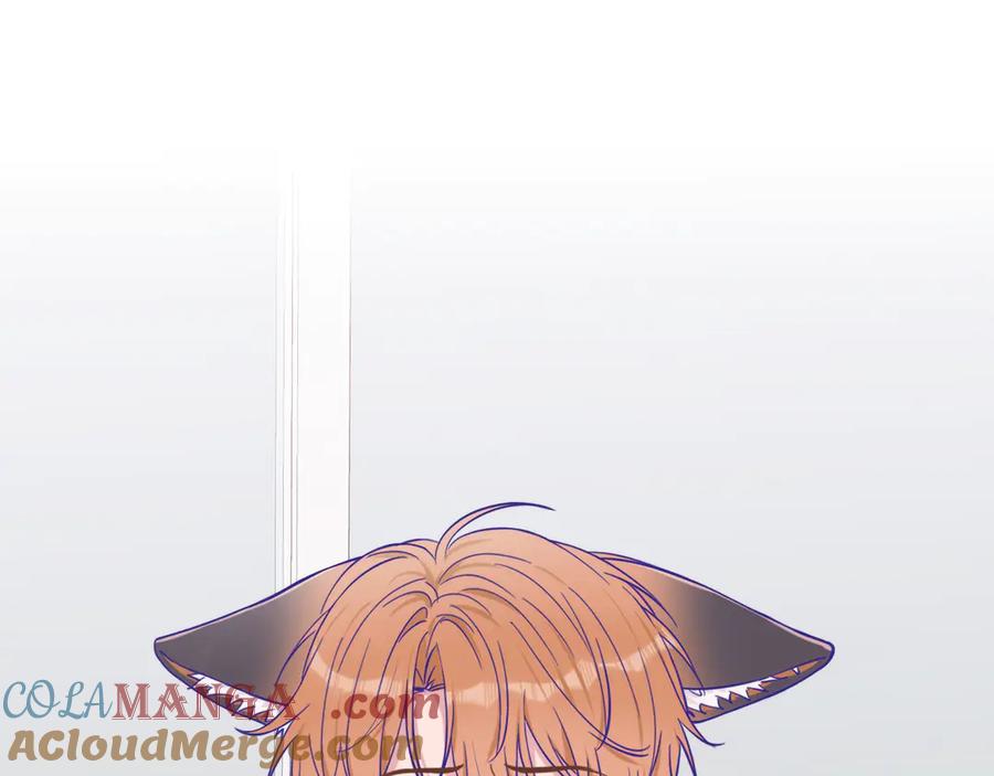 113.jpg
