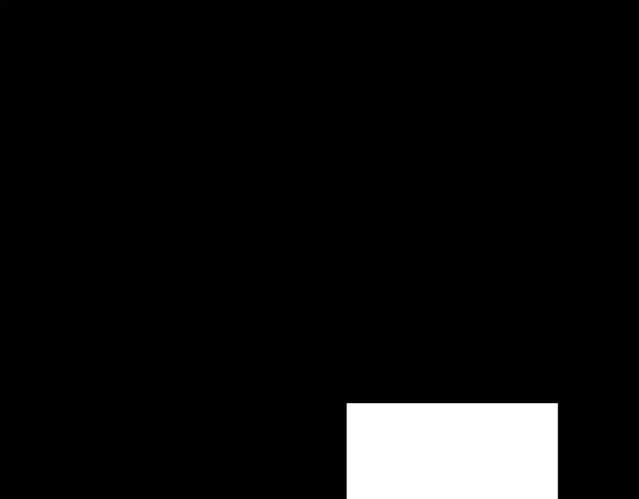 123.jpg