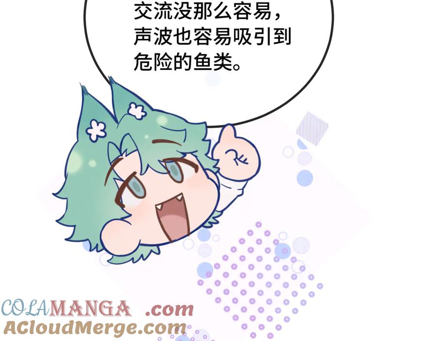 61.jpg