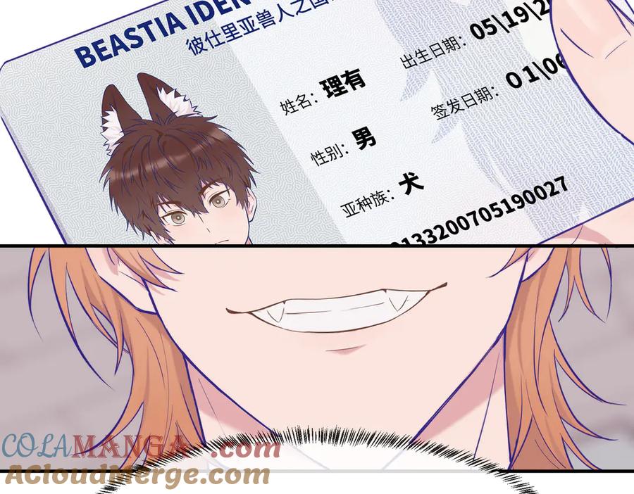 113.jpg