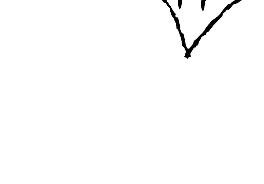 219.jpg