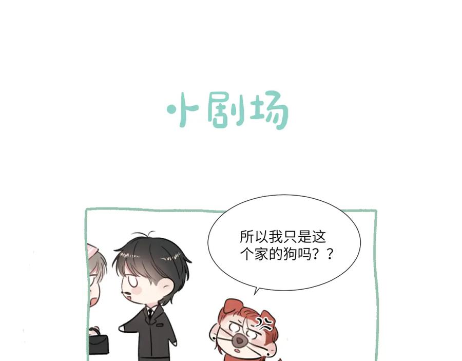 99.jpg