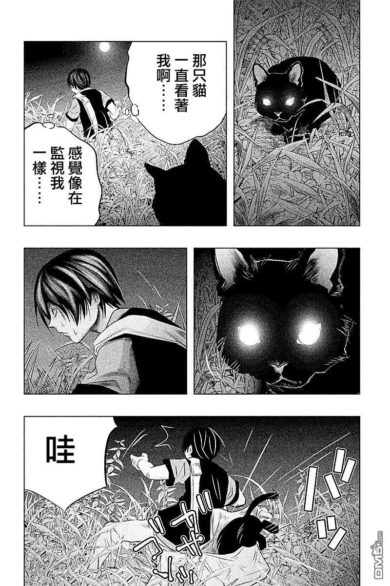 第59话猫与草莓口香糖-当无火葬场的小镇里钟声鸣响时-和夏弘雨 碧海景（第2张）