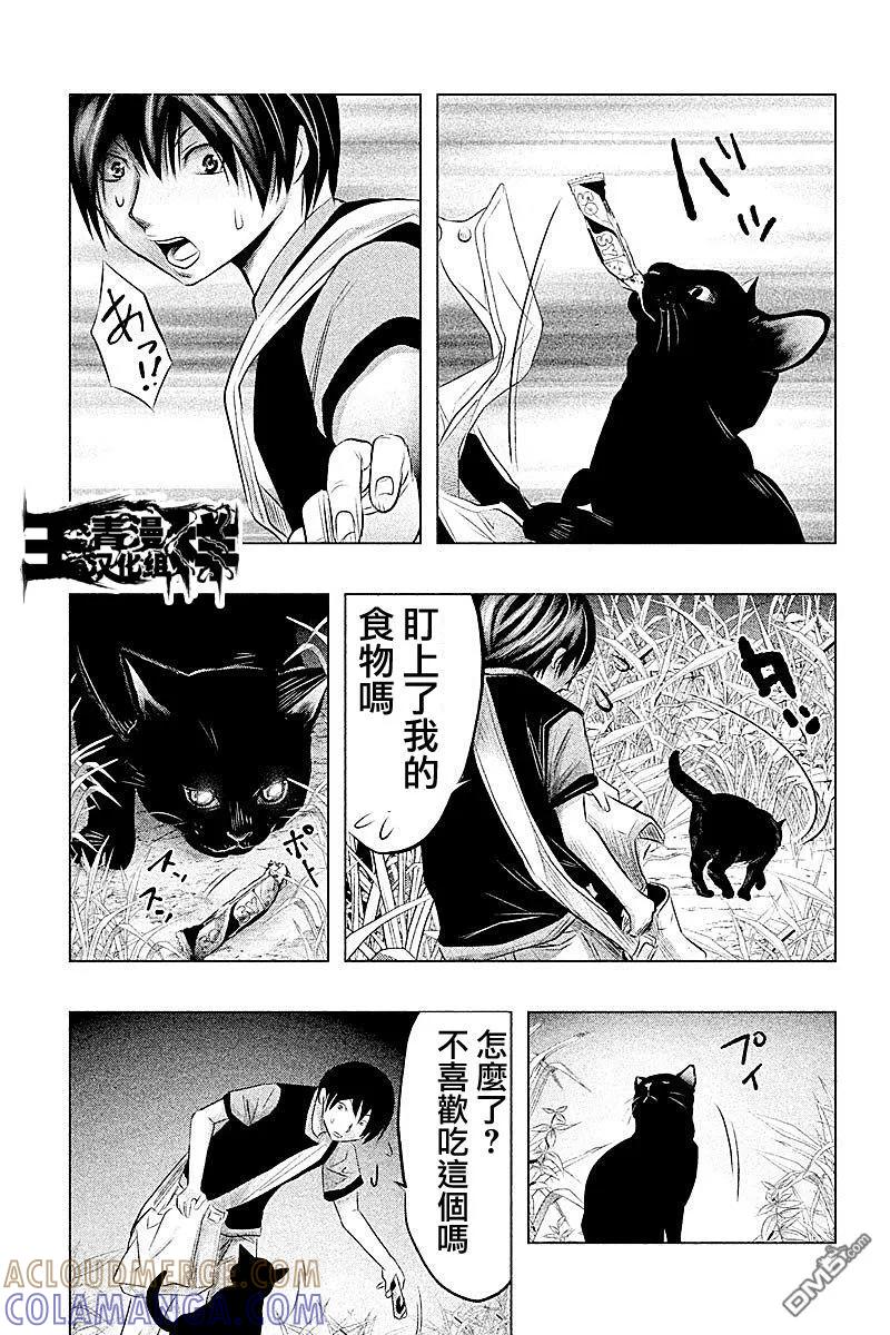 第59话猫与草莓口香糖-当无火葬场的小镇里钟声鸣响时-和夏弘雨 碧海景（第3张）
