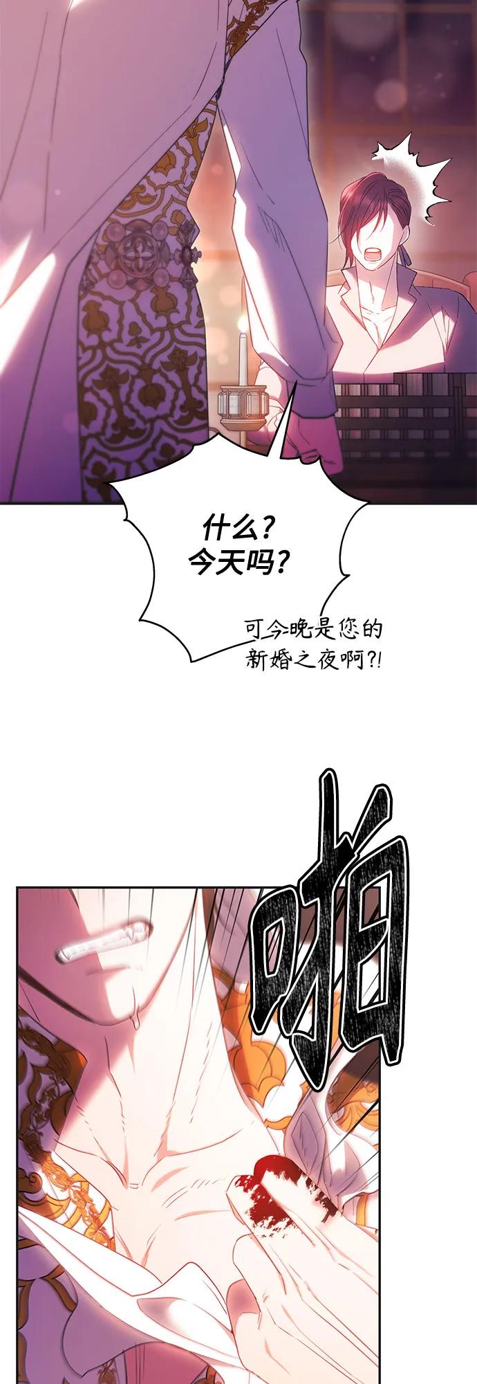 48.jpg