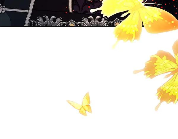 178.jpg
