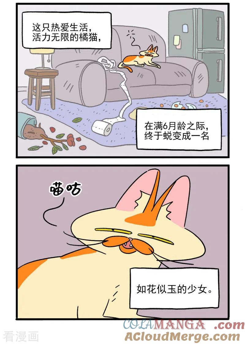 第1话这是阿满和麦茶-阿满和麦茶-新漫画 日胖大海寺（第2张）
