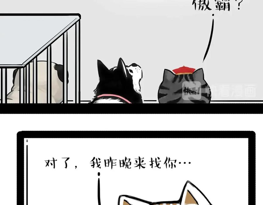 44.jpg