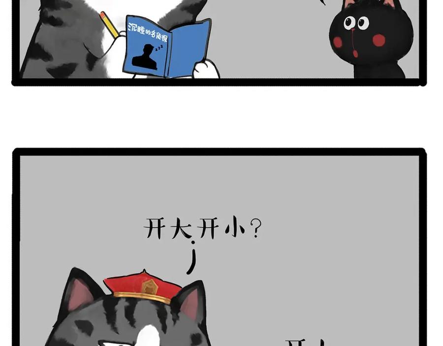 29.jpg