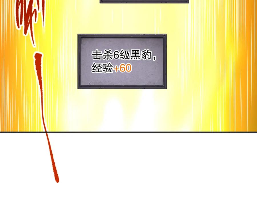 78.jpg