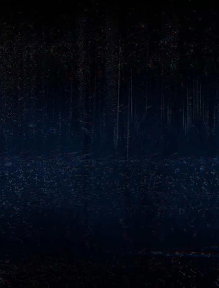 56.jpg