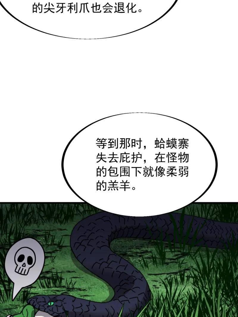 47.jpg