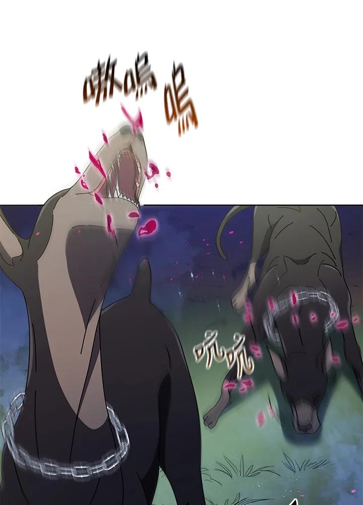 74.jpg