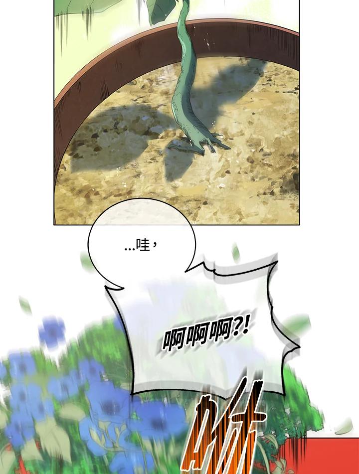 60.jpg