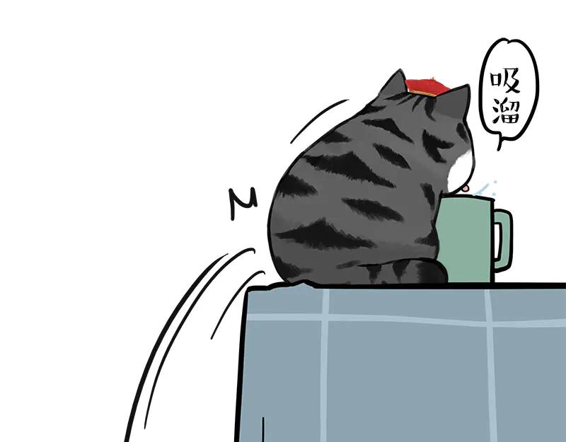 17.jpg