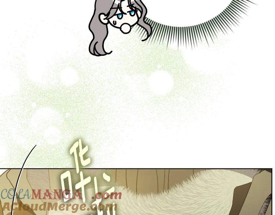 161.jpg