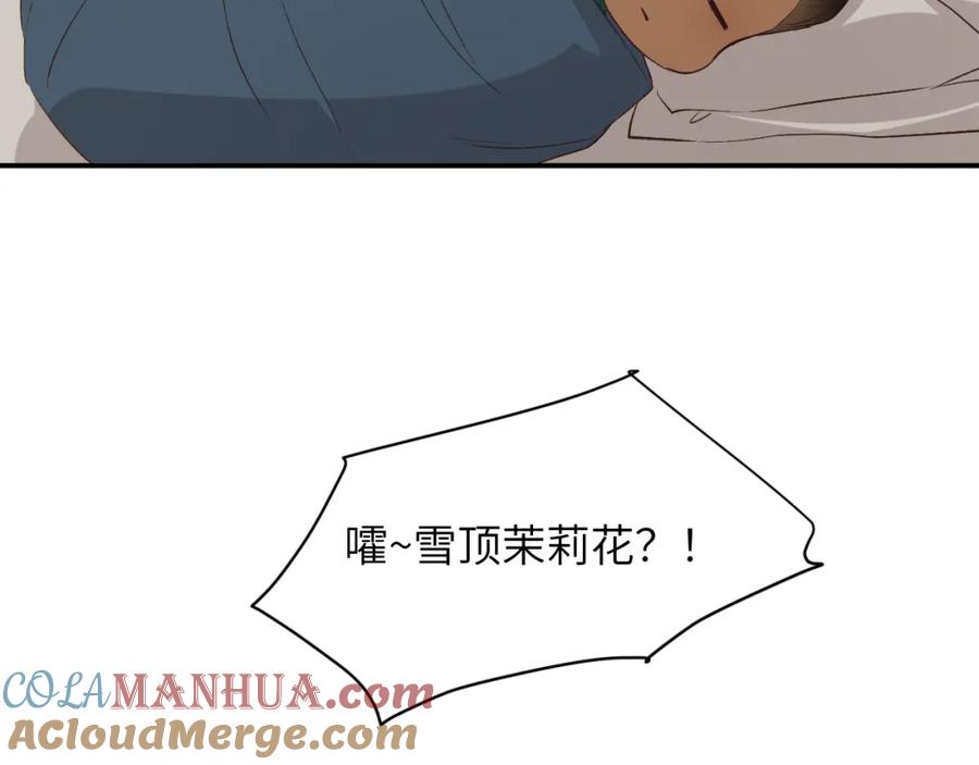 53.jpg
