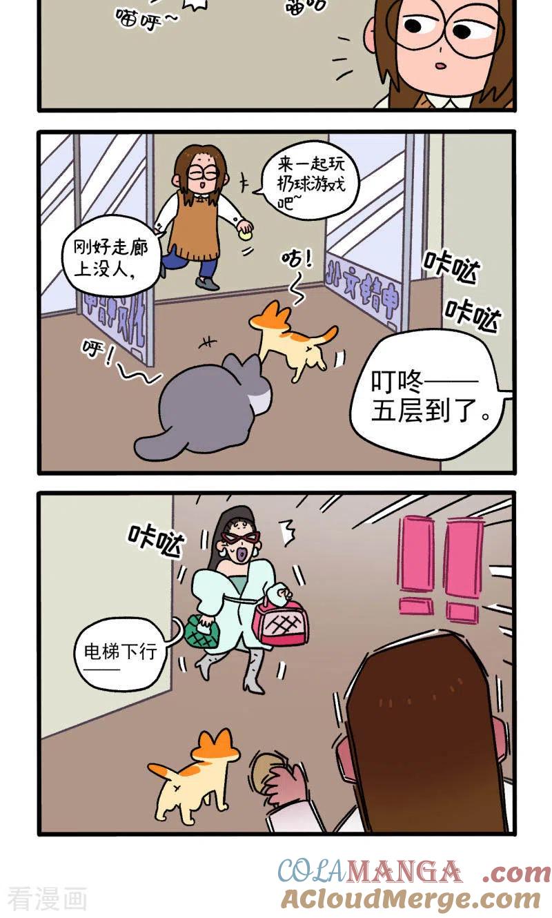 第81话1帅哥悟了1-阿满和麦茶-新漫画 日胖大海寺（第4张）