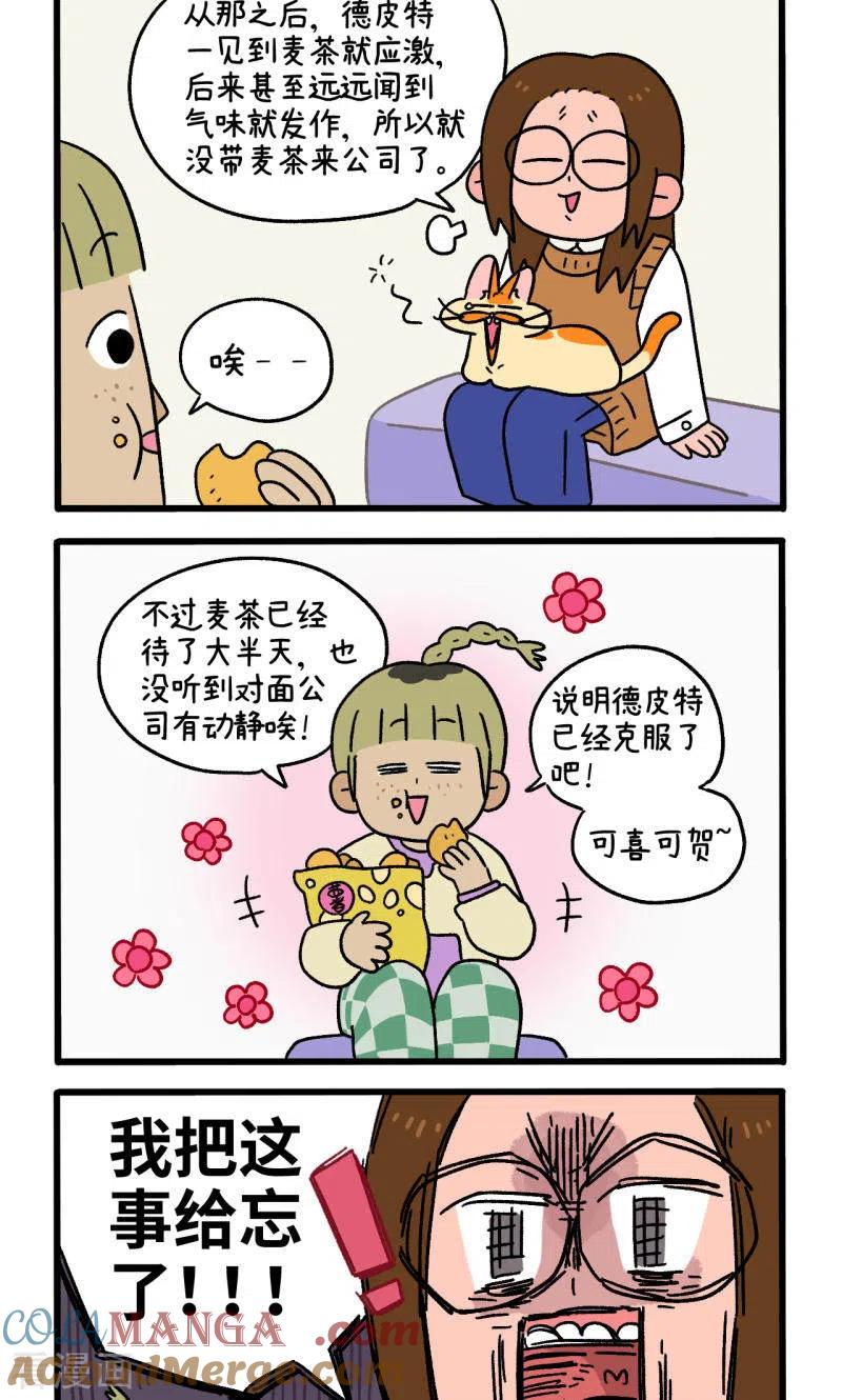 第81话1帅哥悟了1-阿满和麦茶-新漫画 日胖大海寺（第2张）