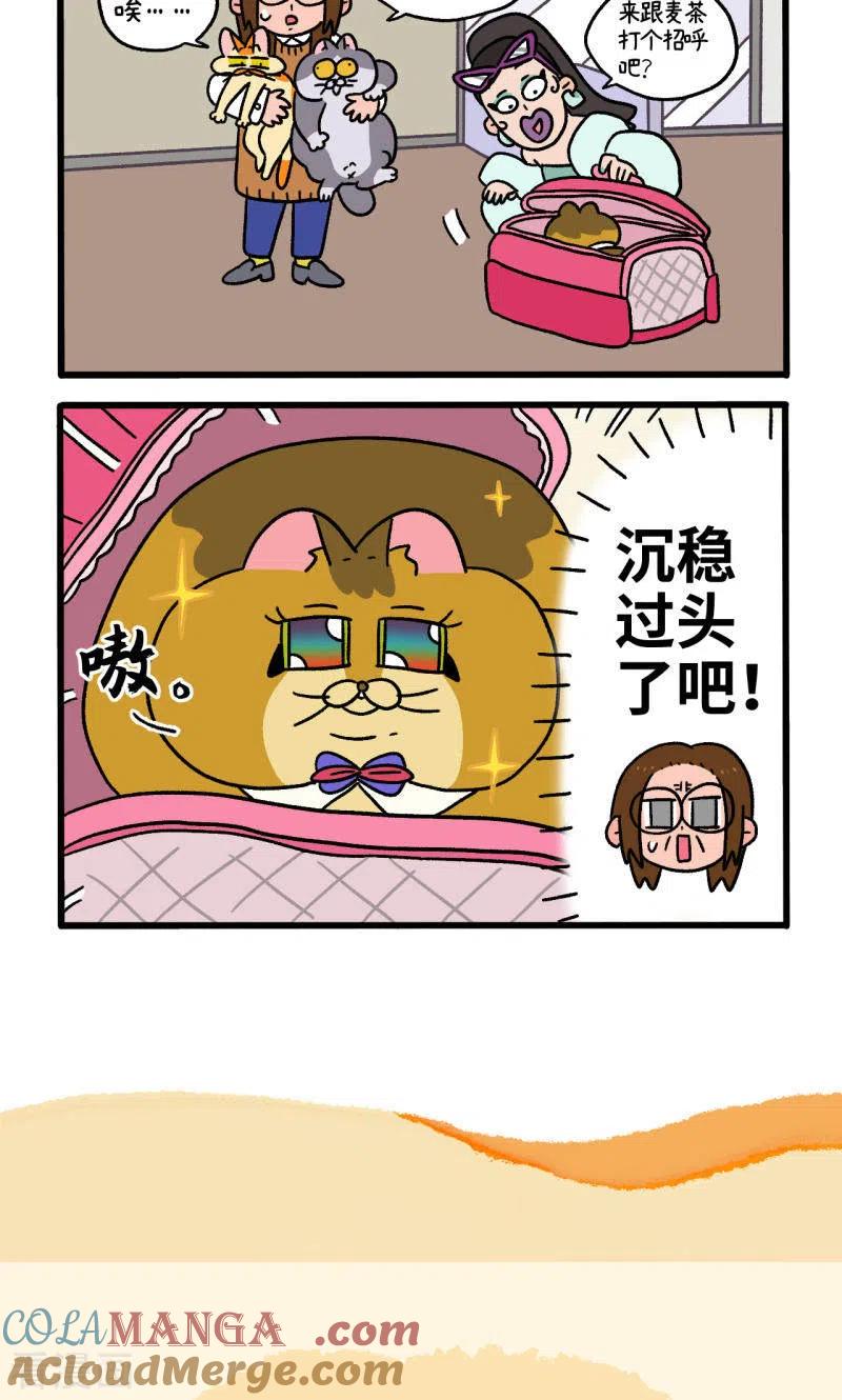 第81话1帅哥悟了1-阿满和麦茶-新漫画 日胖大海寺（第6张）