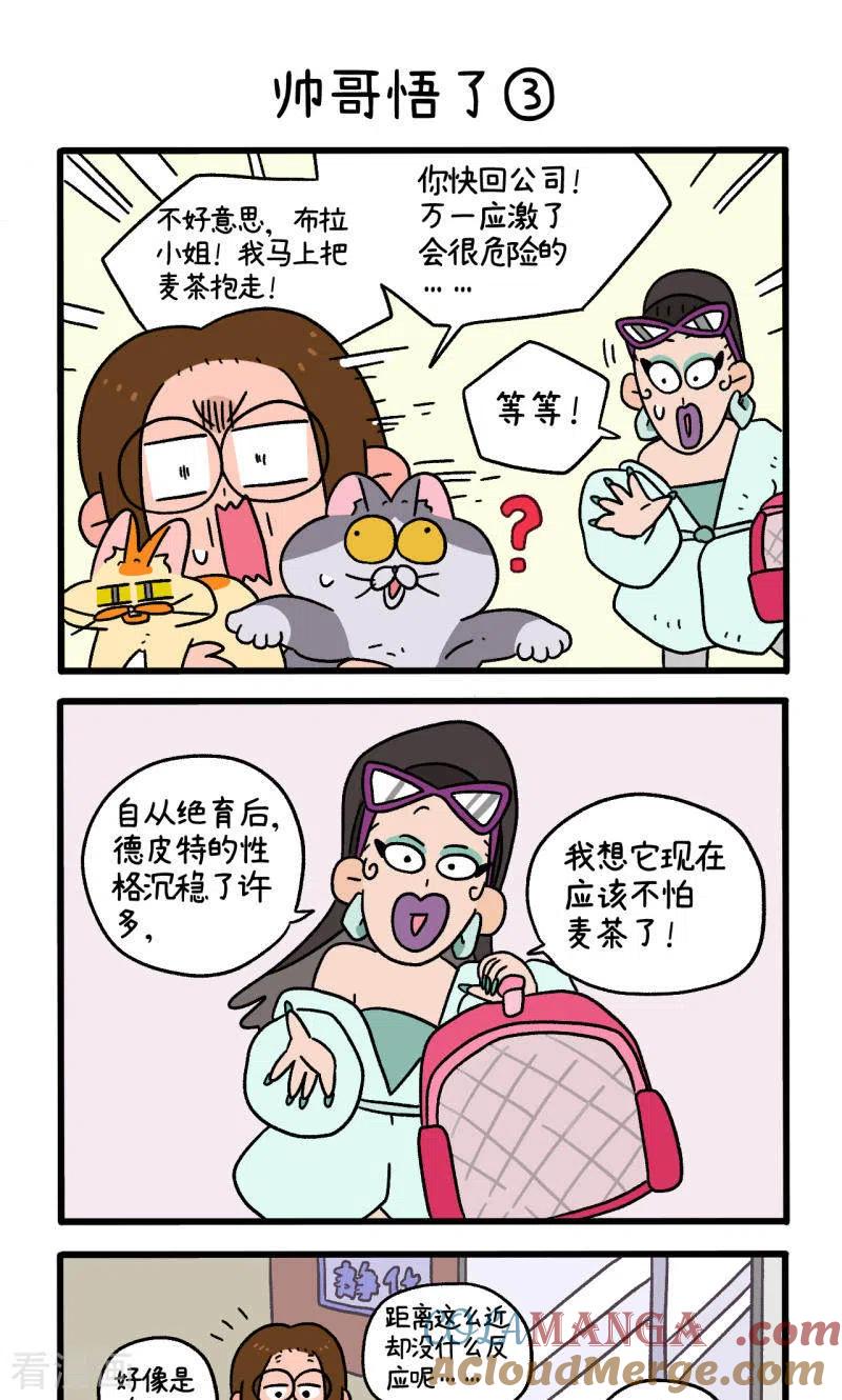 第81话1帅哥悟了1-阿满和麦茶-新漫画 日胖大海寺（第5张）