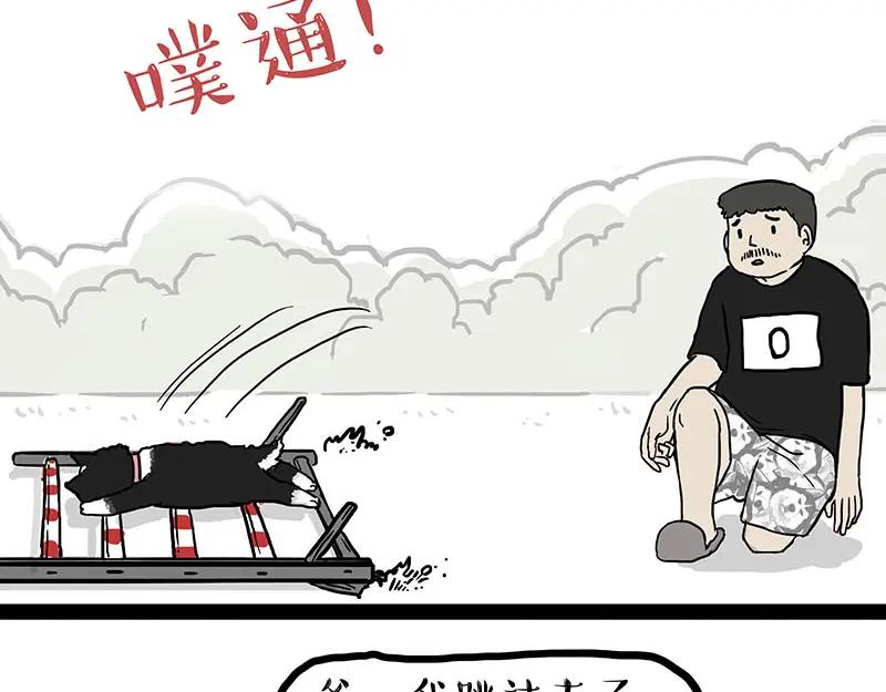36.jpg