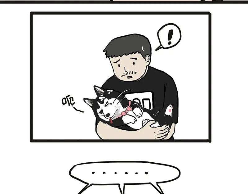 41.jpg