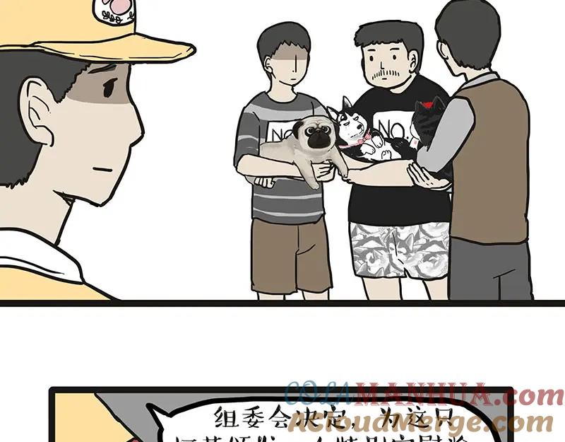 43.jpg