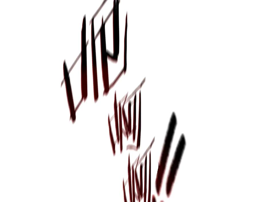 223.jpg