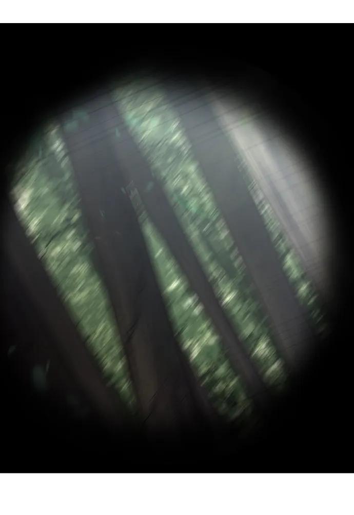 124.jpg