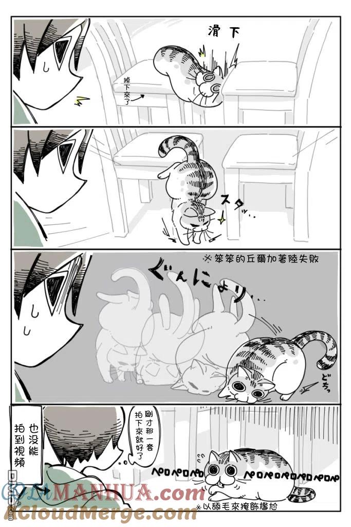 第7话-关于养猫我一直是新手-キュルZ（第3张）