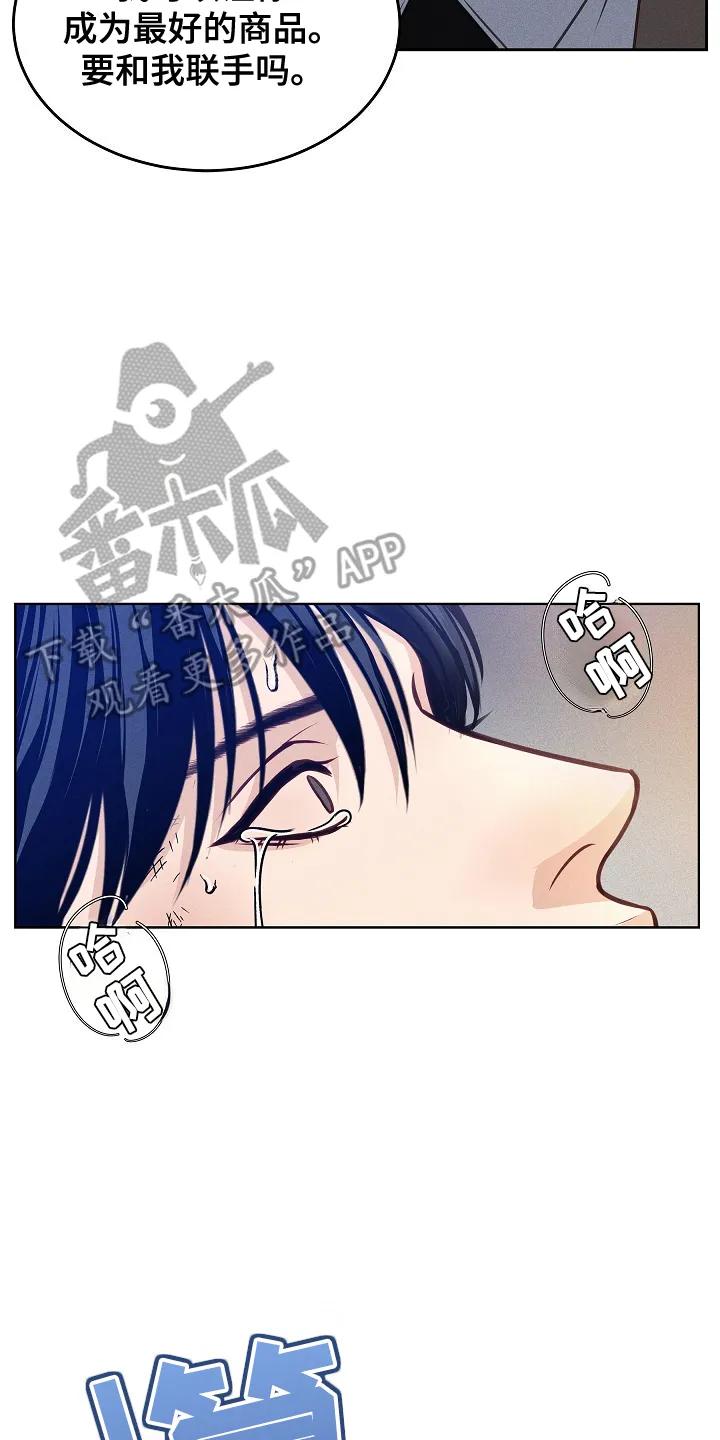 第4章：联手-死亡不是我的解脱-ALMX（第11张）