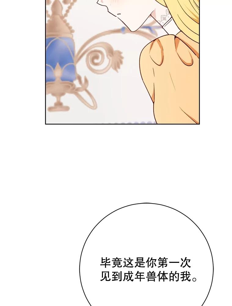 74.jpg