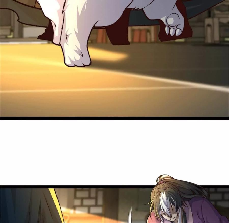35.jpg