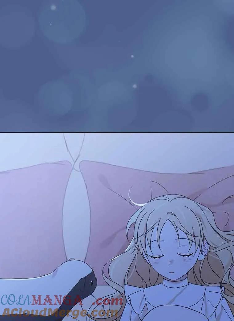 81.jpg