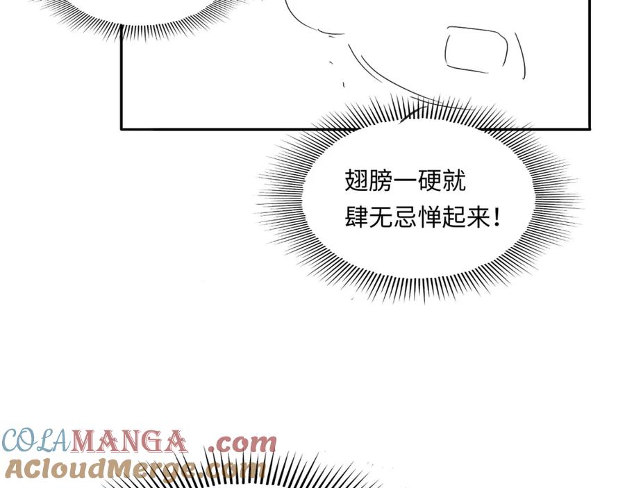 97.jpg